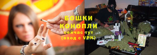 a pvp Богданович