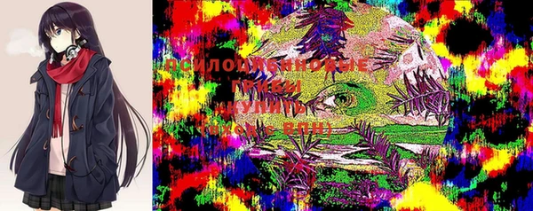 крисы Беломорск