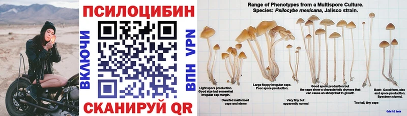 Псилоцибиновые грибы мицелий наркота Сковородино